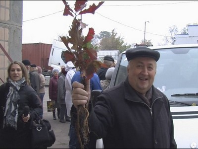 Олександрійці отримали кілька сотень дерев під час благодійної акції (ФОТО)