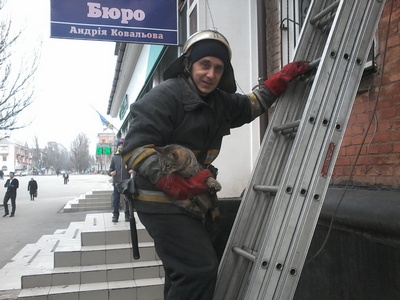 В Олександрії бійці ДСНС врятували домашнього кота (Фото)