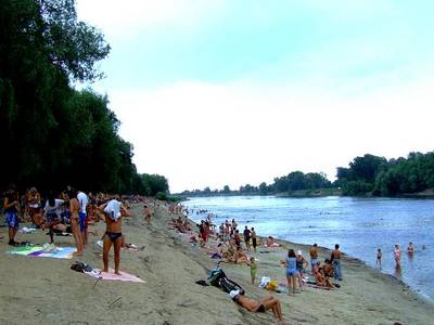 В Олександрійських водоймах знайшли кишкову паличку