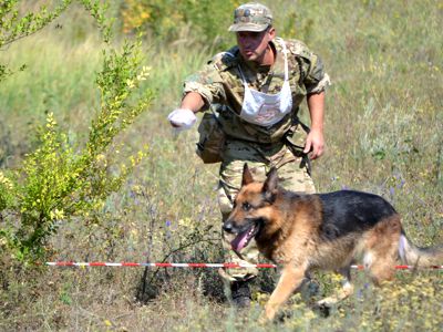 На Кіровоградщині змагаються кінологи чотирьох областей України (відео, фото)