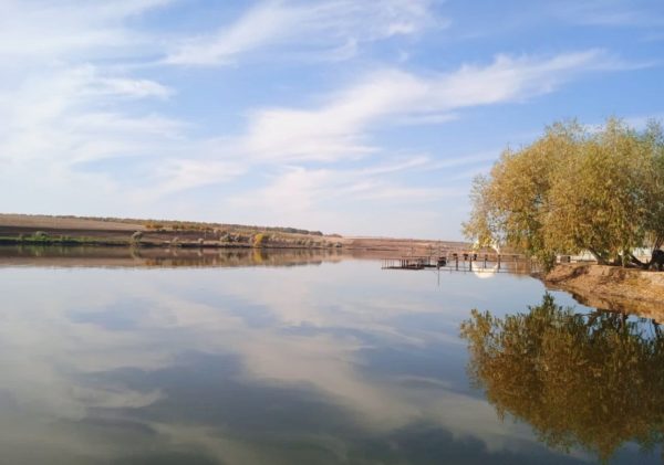 В Олександрійському районі зарибили ставок площею понад 20 га.