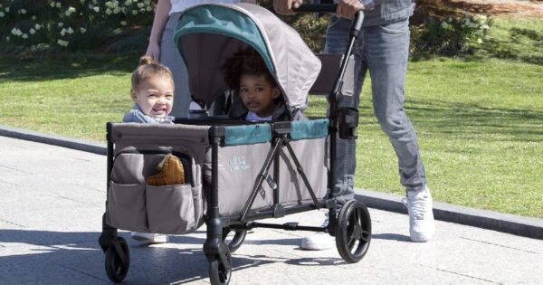 How to Choose a Stroller for Twins or Multiple Children