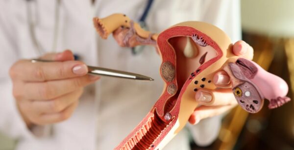 Внутриматочная инсеминация: пошаговое руководство от подготовки до результата